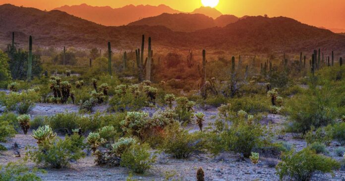BLM proposes closing 480,496 acres of Sonoran Desert National Monument to recreational target shooting, allowing it only on 5,295 acres. The amendment aims to protect sensitive resources while balancing public access. BLM seeks input during 60-day comment period ending March 22, 2024. Voice your view on responsible use versus conservation in this Arizona desert landscape.