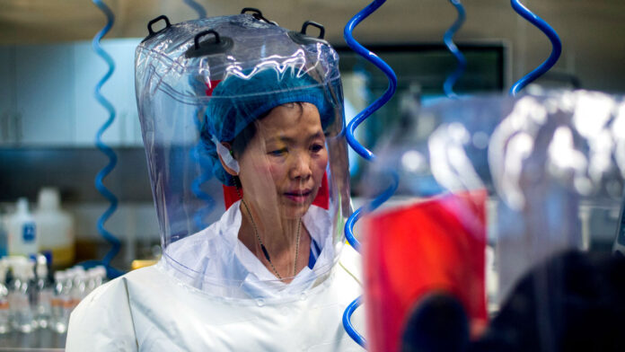 China Experimenting with Lethal Coronavirus, Scientists Warn “This Madness Must Cease”