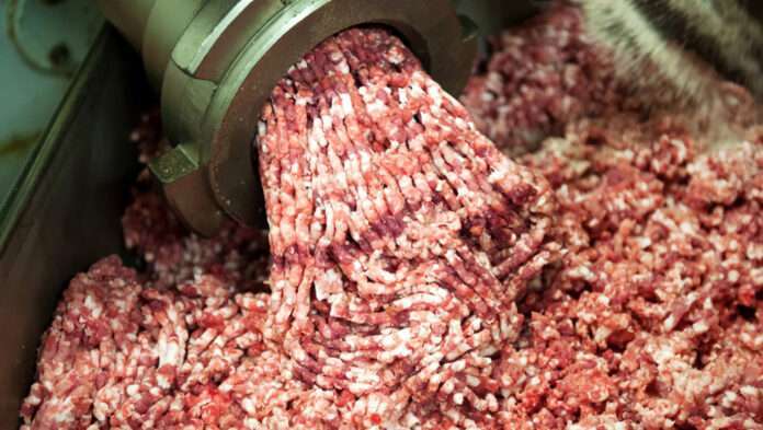 Foodborne Illness Outbreak Linked to Tainted Beef Prompts Massive Recall