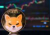 Shiba Inu Smashes Through Resistance, Aims for $0.000063: What's Next?