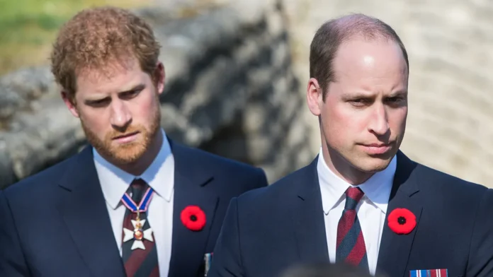 Harry Waits for 'Apology' from William: Inside Their Royal Feud