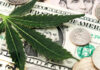 Cannabis stocks in focus: Top 3 Cannabis Stocks for Q2 2024